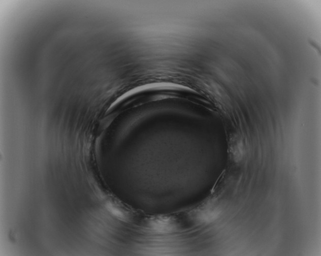 X0000096470235200801311541