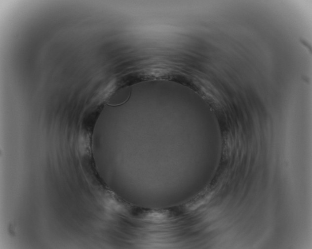 X0000096470236200801311541