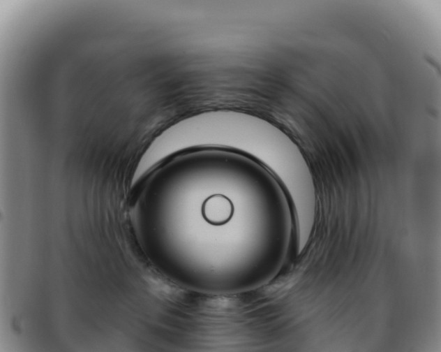 X0000096470237200801311541