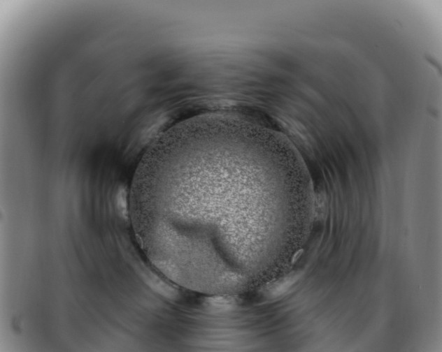 X0000096470238200801311541