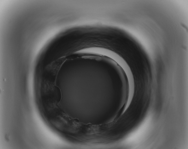 X0000096470239200801311541