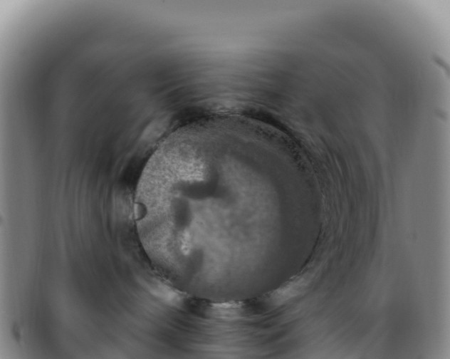 X0000096470240200801311541