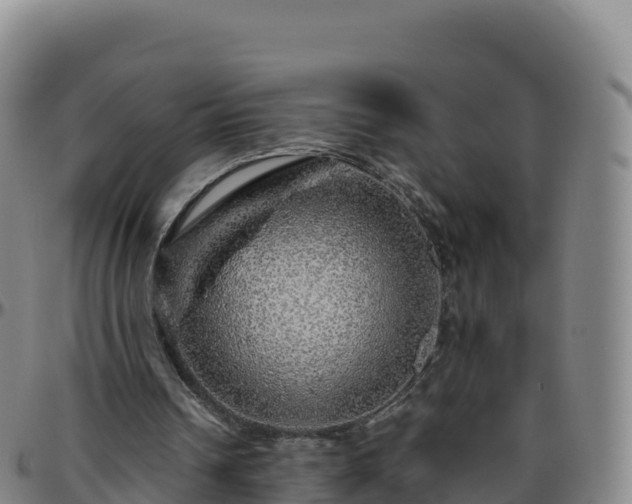 X0000096470242200801311540