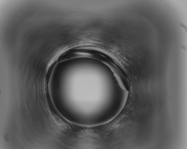 X0000096470244200801311540