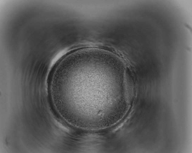 X0000096470246200801311540