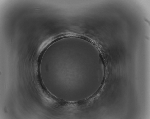 X0000096470247200801311540