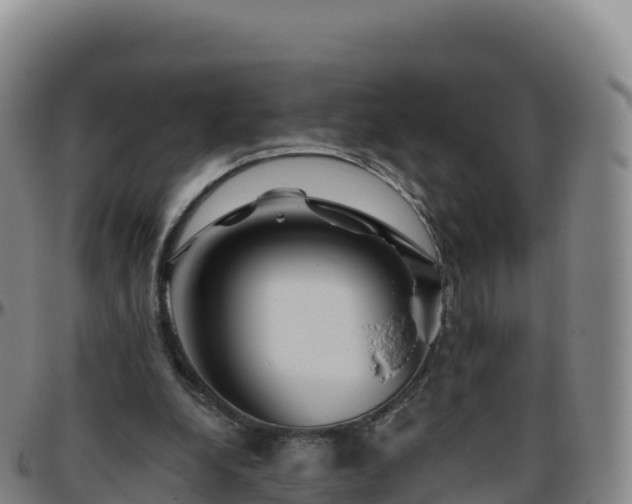 X0000096470248200801311540