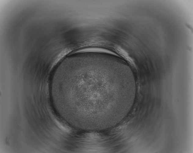X0000096470250200801311540