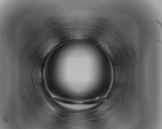X0000096470251200801311540