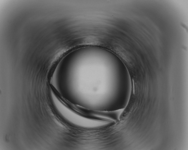 X0000096470252200801311540