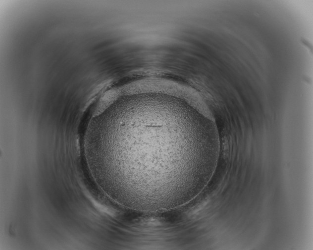X0000096470254200801311540