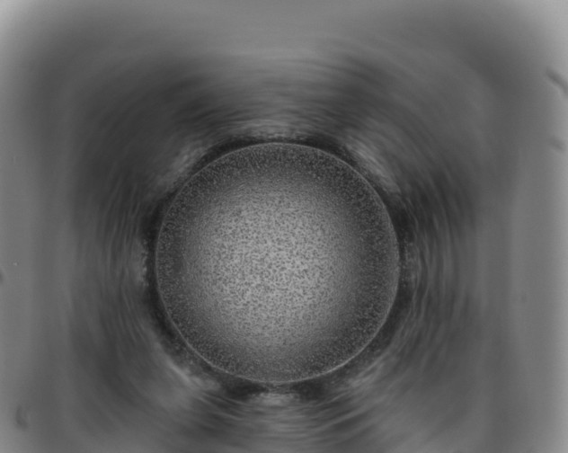 X0000096470255200801311540