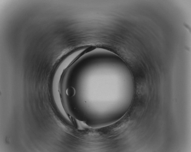 X0000096470256200801311540
