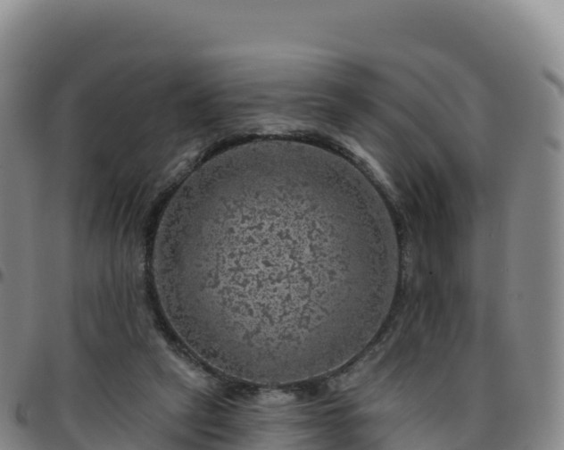 X0000096470257200801311540