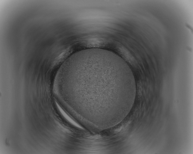 X0000096470258200801311540