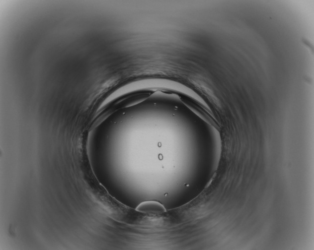 X0000096470260200801311540