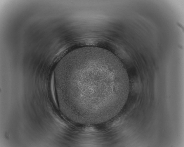 X0000096470262200801311540