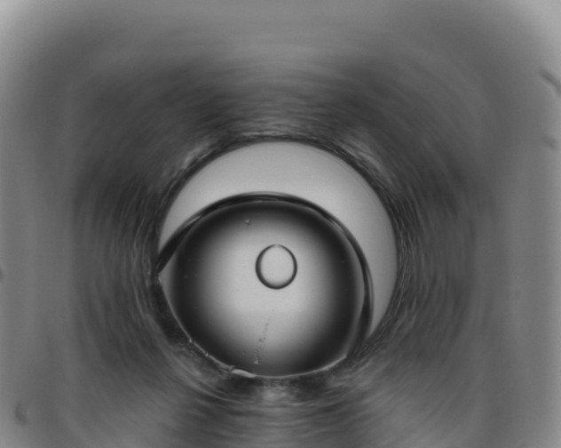 X0000096470264200801311540