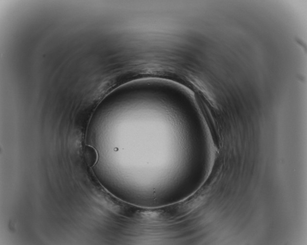 X0000096470265200801311541