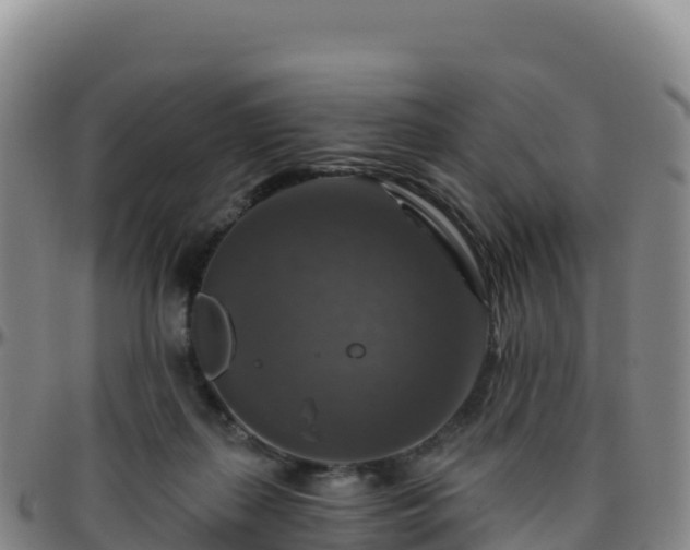 X0000096470267200801311541