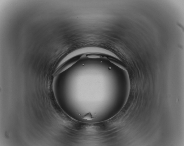 X0000096470268200801311541