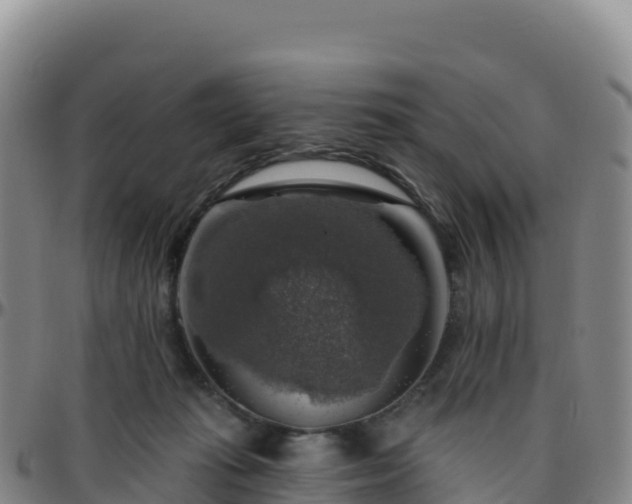 X0000096470269200801311541