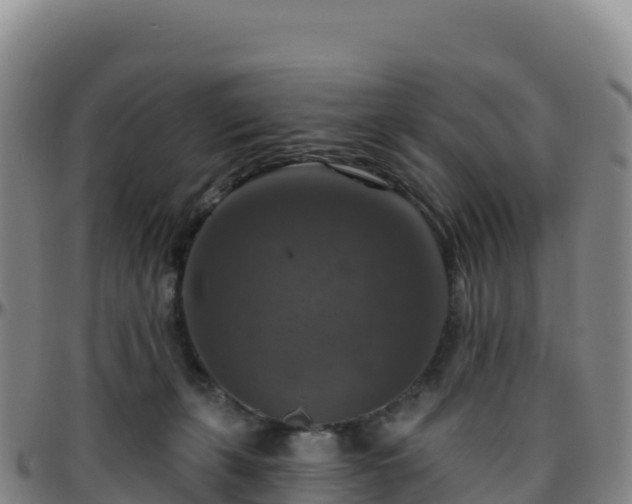 X0000096470271200801311541