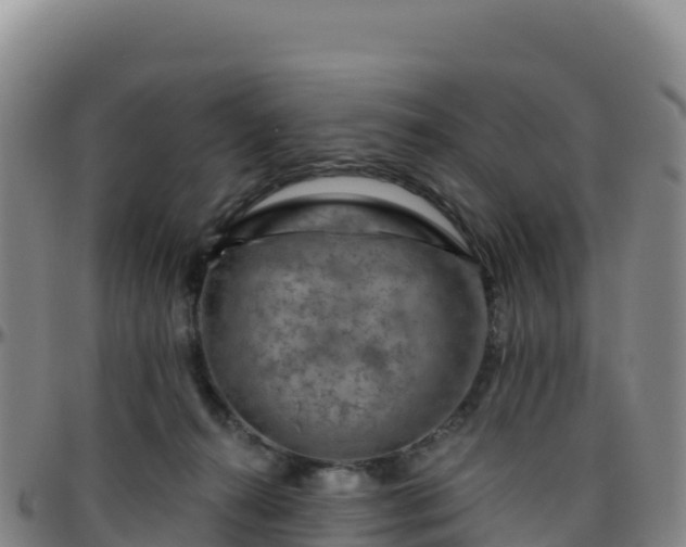 X0000096470272200801311541