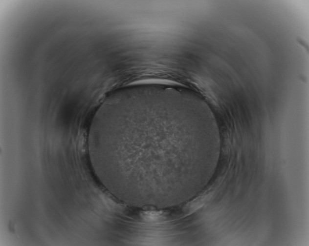 X0000096470273200801311541