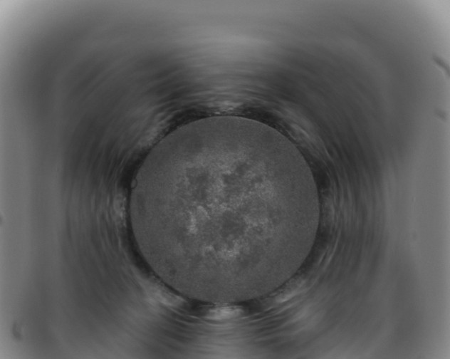 X0000096470274200801311541