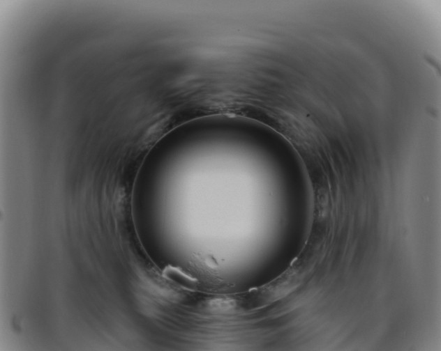 X0000096470279200801311541
