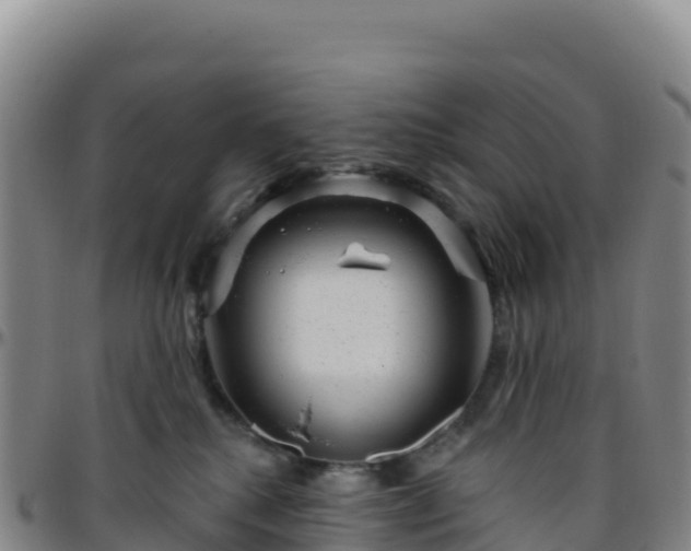 X0000096470280200801311541