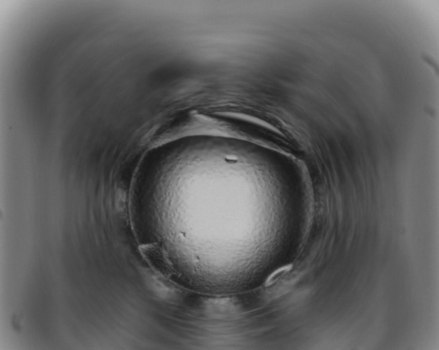 X0000096470281200801311541