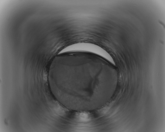 X0000096470282200801311541