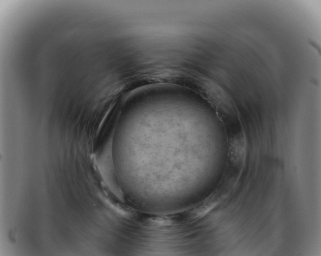 X0000096470284200801311541