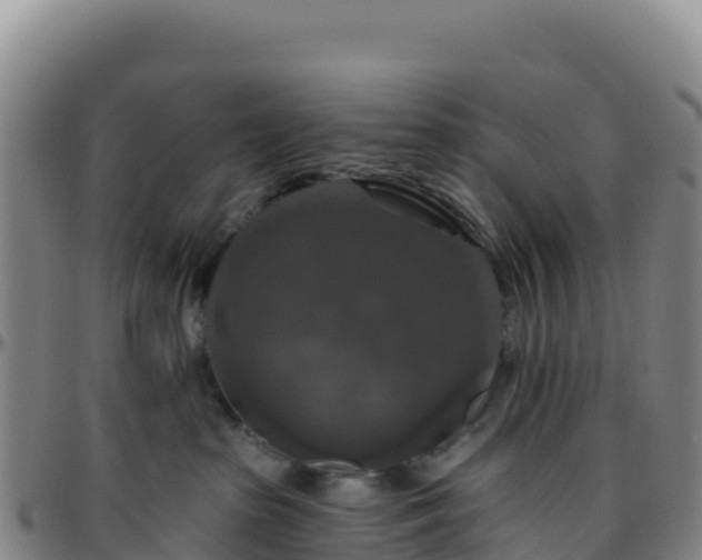 X0000096470285200801311541