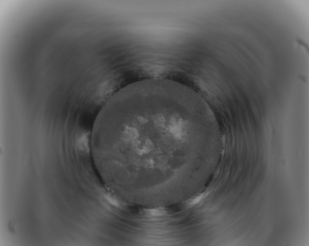 X0000096470286200801311541
