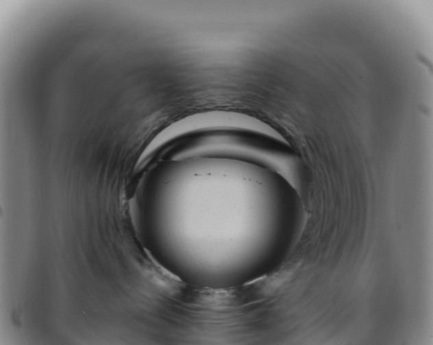 X0000096470288200801311541