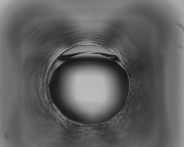 X0000096470289200801311540