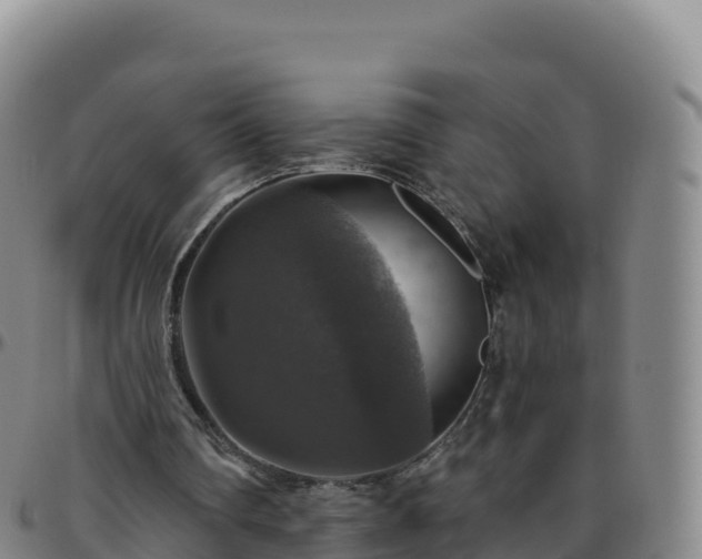 X0000096470290200801311540