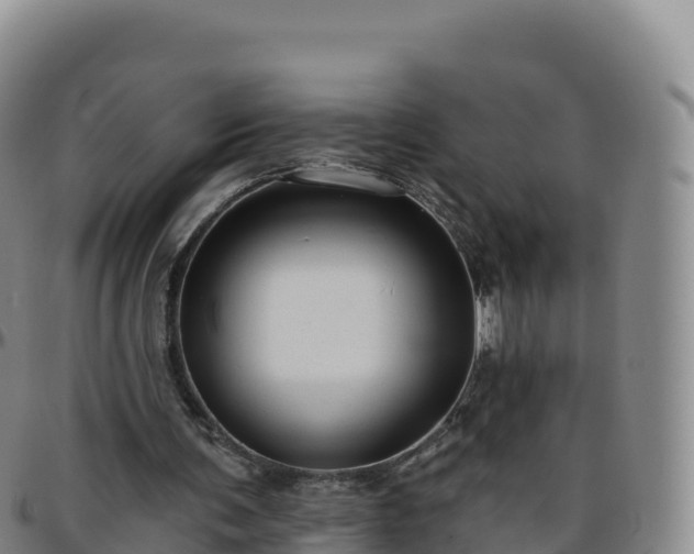 X0000096470291200801311540
