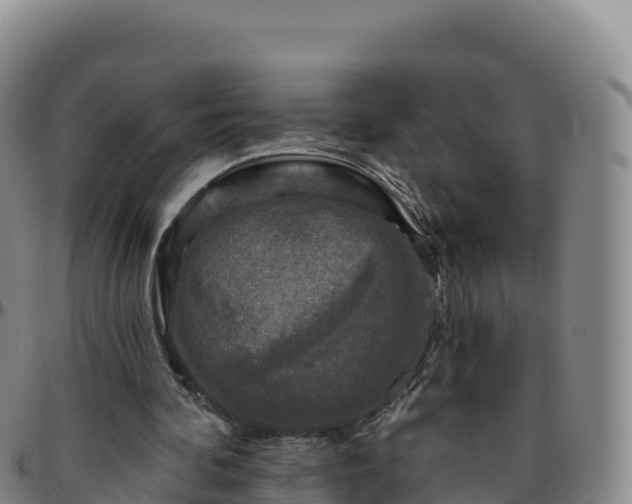 X0000096470292200801311540