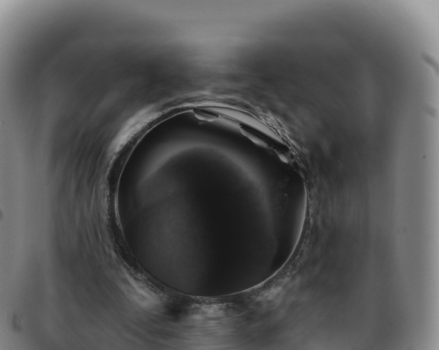 X0000096470295200801311540