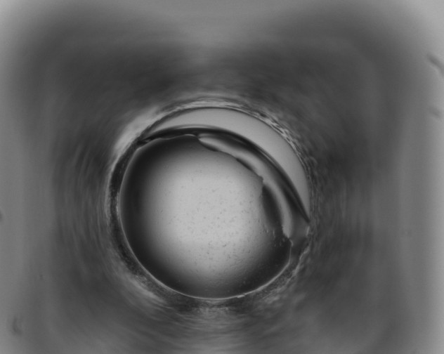 X0000096470296200801311540