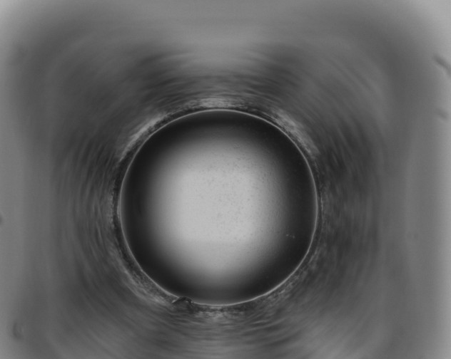X0000096470297200801311540