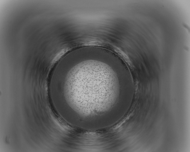 X0000096470298200801311540