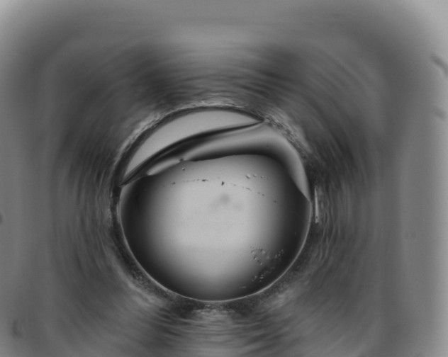 X0000096470300200801311540