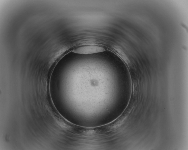 X0000096470301200801311540