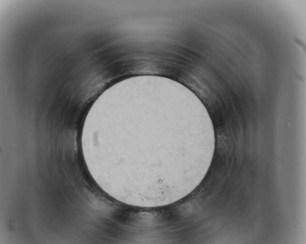 X0000096470302200801311540