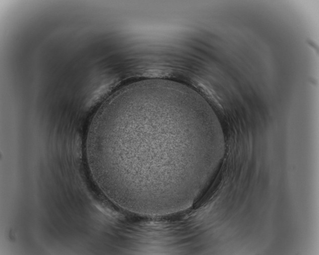 X0000096470303200801311540